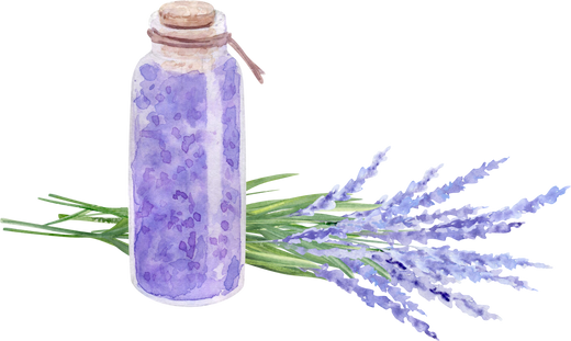 Watercolor bottle with natural lavender oil